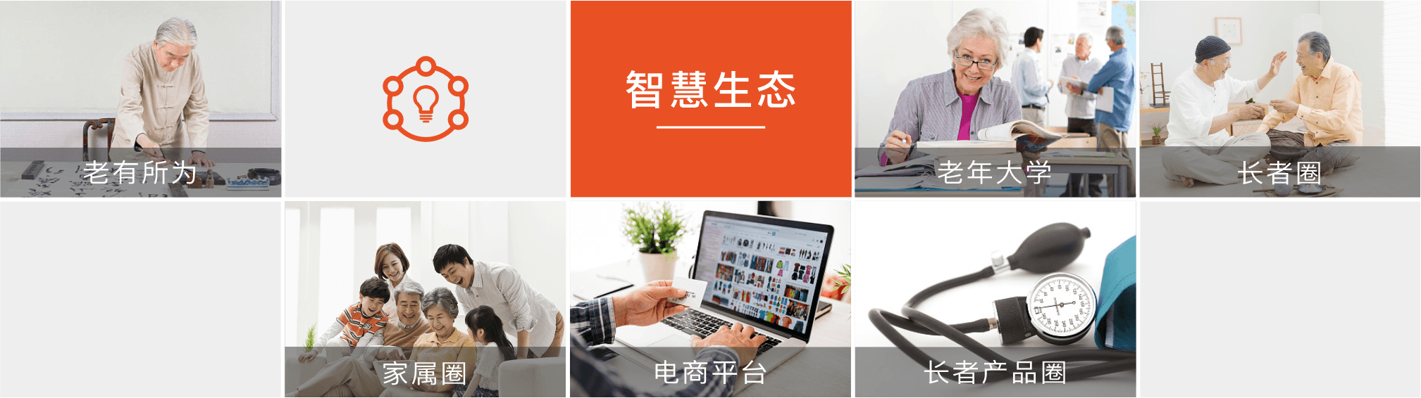 智慧养老生态圈.png